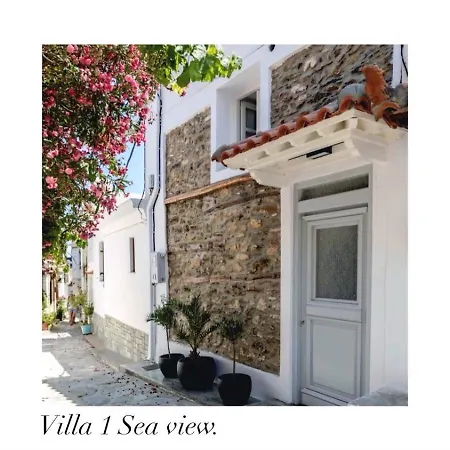 Evageliasvilla Sea View 斯科派洛斯