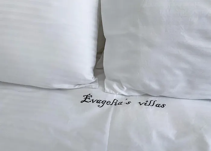 别墅 Evageliasvilla Sea View 斯科派洛斯